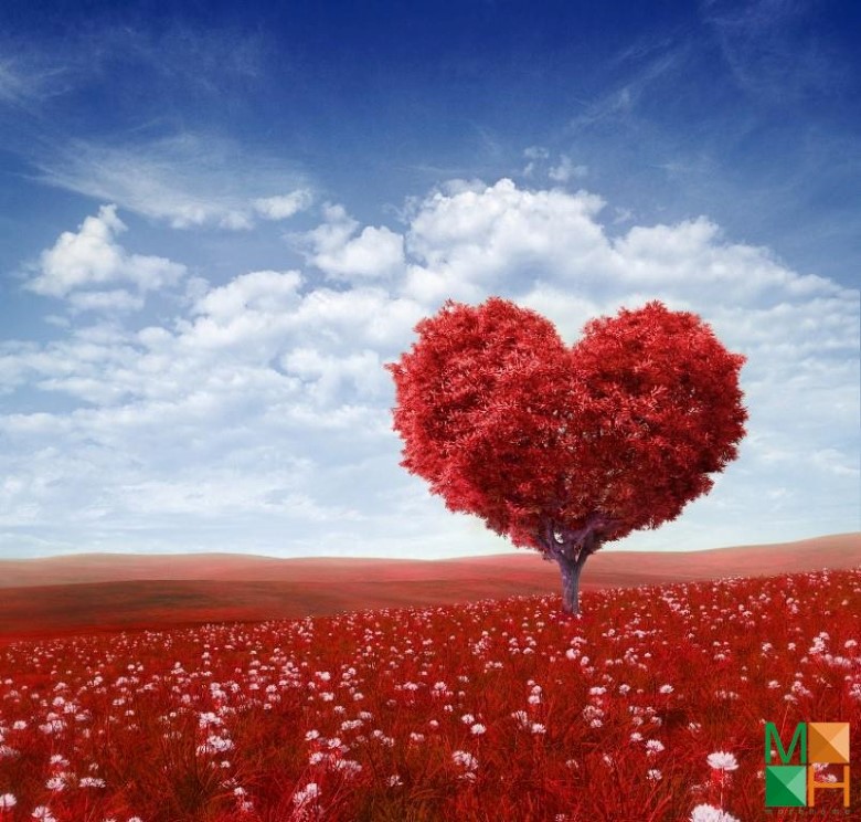 Tranh dán tường Hàn Quốc 3d khổ lớn tại Hà Nội NA - 270